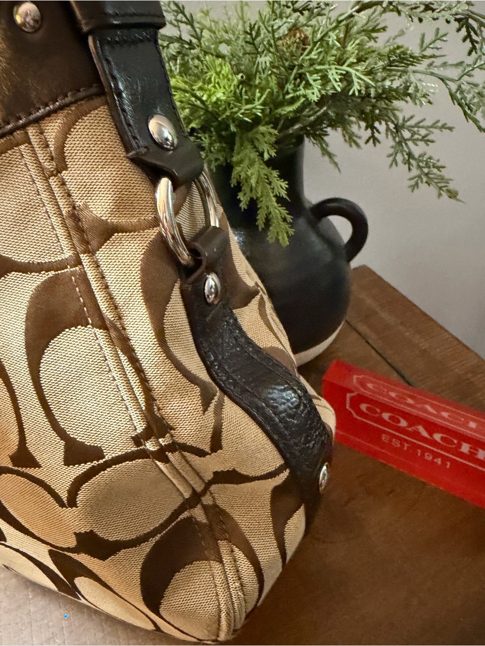 Coach Signature C Zoe Bag - Picture 6 of 16
